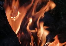 По данным МЧС России по Тульской области, на территории региона с 5 по 11 декабря произошло 32 пожара, на которых пострадало девять человек