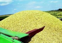 Польша вывезла с территории Украины 2 млн тонн зерна