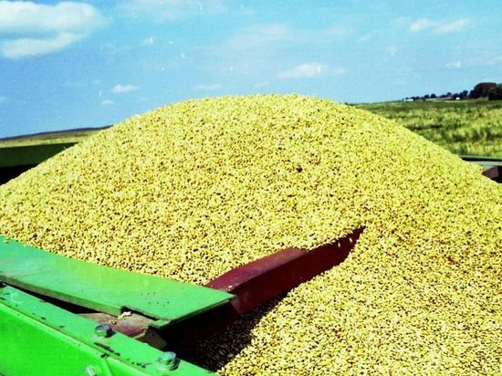 Польский министр назвал количество вывезенного с Украины зерна