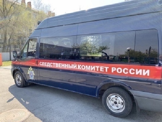 Житель Алтая убил собственную мать после ее дня рождения