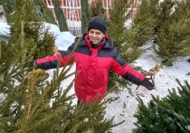 Натуральную елку лучше всего купить после 20 декабря, сообщили в Роспотребнадзоре