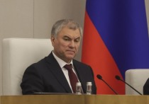 В Госдуме РФ планируют внести изменения в закон об образовании, сообщает Вячеслав Володин, спикер нижней палаты российского парламента