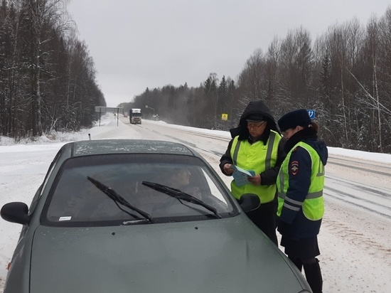 В Костромской области ГИБДД дали водителям рекомендации по безопасному вождению в зимний период