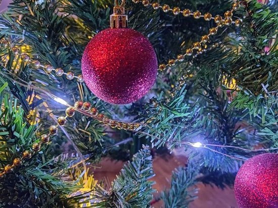 Живая или искусственная: какую елку выбрать на Новый год и во сколько обойдется покупка