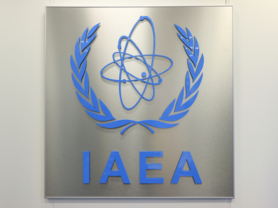 Шмыгаль заявил, что МАГАТЭ отправят свои миссии на все АЭС на Украине