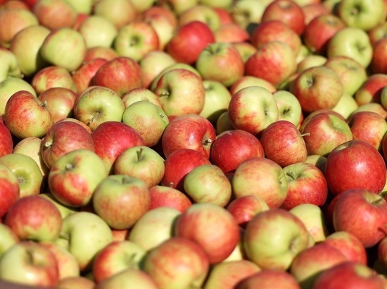 В Молдавии заявили о падении поставок яблок в Россию на 50%