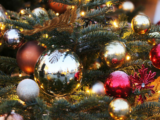 В библиотеках Подмосковья состоятся более 1,5 тыс.  мероприятий к Новому году