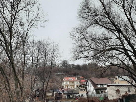 В Липецке по прогнозу ожидается метель и мороз