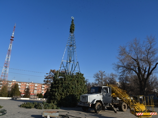 В Астрахани устанавливают центральную елку