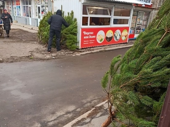 Ёлочные базары открылись в Донецке