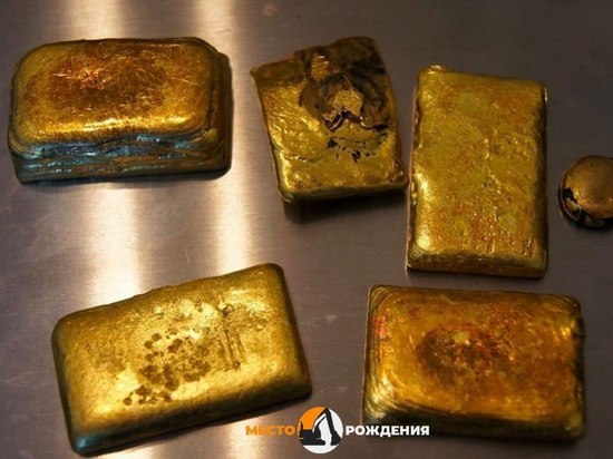 Более 400 гр незаконно добытого в Забайкалье золота передали государству