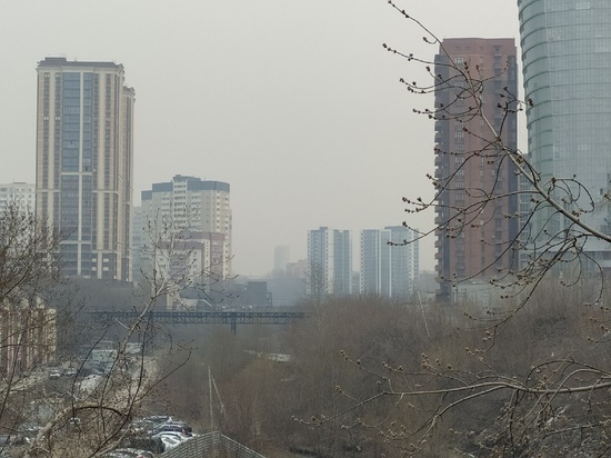 Загрязнение воздуха в 8 баллов отметили в Новосибирске 14 декабря
