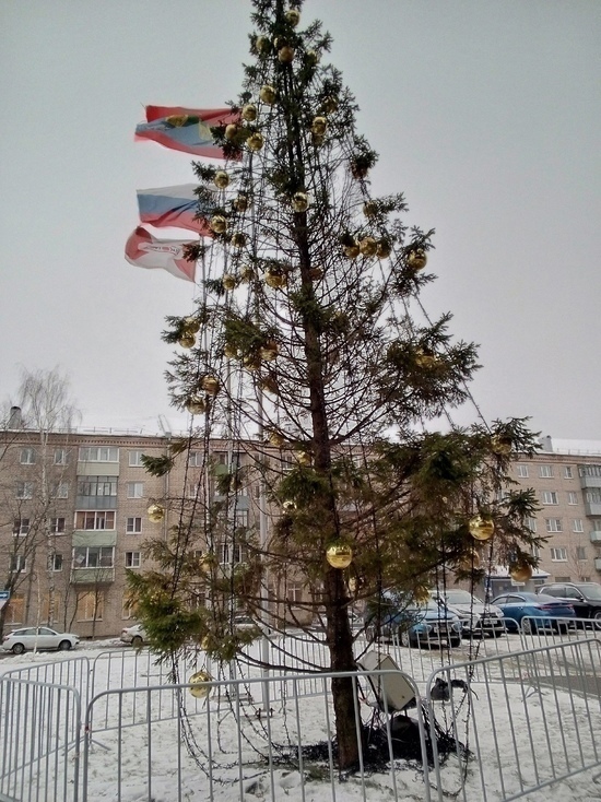 Жители Рыбинска рассказали историю лысеющей елки