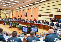 Представители регионов Сибири и Дальнего Востока проведут мероприятия по предупреждению и ликвидации чрезвычайных ситуаций