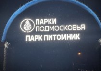 На днях в одном из центральных парках Серпухова – Питомнике – появилась световая вывеска с названием места