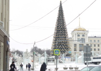 Главная новогодняя елка начнет светиться огнями в Белгороде 17 декабря в 18:00, но праздничные события начнутся раньше