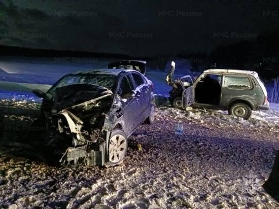 В аварии на брянской трассе пострадали люди