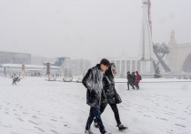 Научный руководитель Гидрометцентра России Роман Вильфанд сообщил порталу Lenta.ru о рекордных осадках в Москве