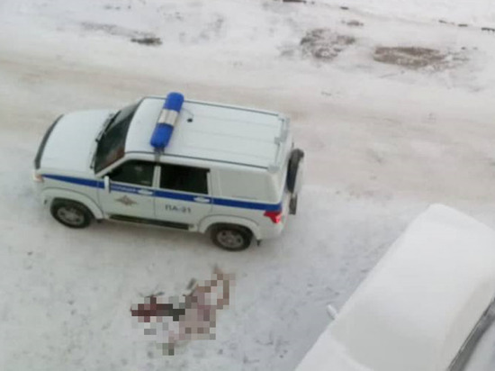 В Новосибирске 30-летний мужчина погиб при падении с 6-го этажа