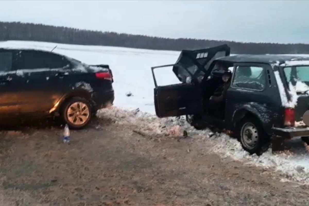 Подслушано В Любохне Брянской Области