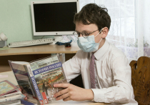 Около 600 российских школ частично приостановили учебный процесс вследствие тяжелой ситуации по гриппу и ОРВИ