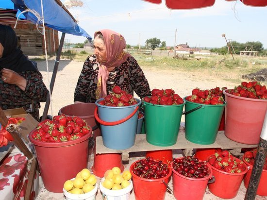 Жители Дагестана тратят почти 92% своих доходов на продукты и товары