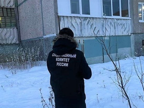 В Мончегорске скончался выпавший из окна пожилой мужчина