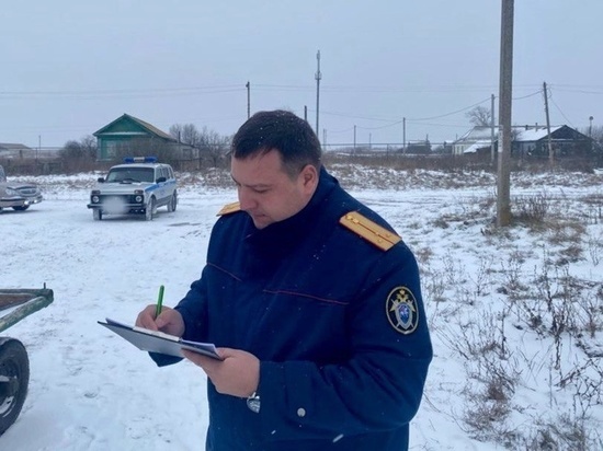 В Саратовской области в повозке нашли труп мужчины