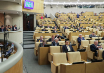 Госдума единогласно приняла в первом чтении «диверсионный» пакет законопроектов