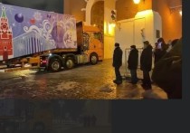 В Москве главную новогоднюю ель страны привезли в Кремль