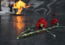 В Санкт-Петербурге правоохранительные органы разыскивают несовершеннолетних вандалов, которые забросали снежками вечный огонь на мемориале на Якорной площади