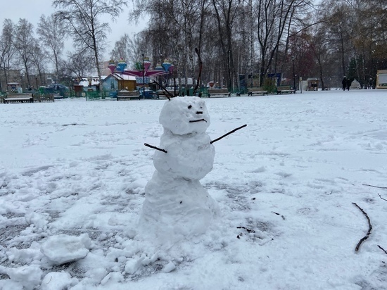 В Новосибирске шестеро детей из многодетной семьи гуляли в мороз в летней одежде