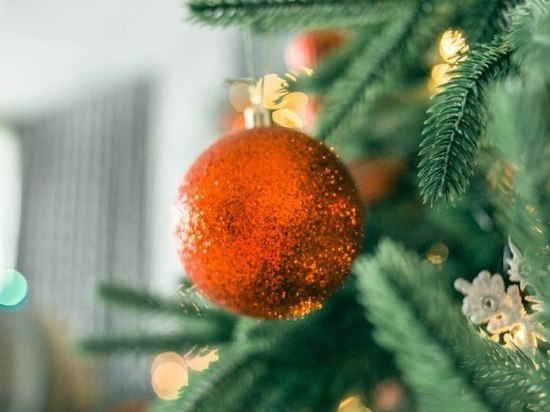 Рассказываем, как обезопасить дерево и себя на праздники