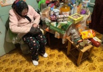 Жители Свердловской области помогли 74-летней Людмиле Казанцевой из села Конево Невьянского городского округа