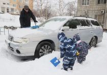 После обрушившихся на российские города мощных снегопадов, жители нашей страны начали скупать лопаты для уборки снега