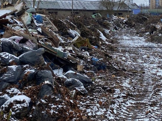 Свалка в Волоколамске нанесла миллионный ущерб природе - МК Московская область