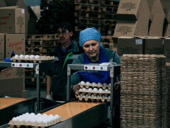 В Чувашии производство яиц за год выросло на треть