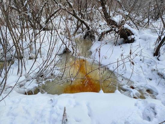 В Новосибирске обнаружили опасные химикаты в поменявшей цвет реке Нарниста