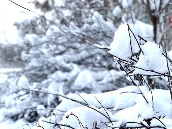 16 декабря в Рязанской области ожидается мокрый снег и до нуля градусов