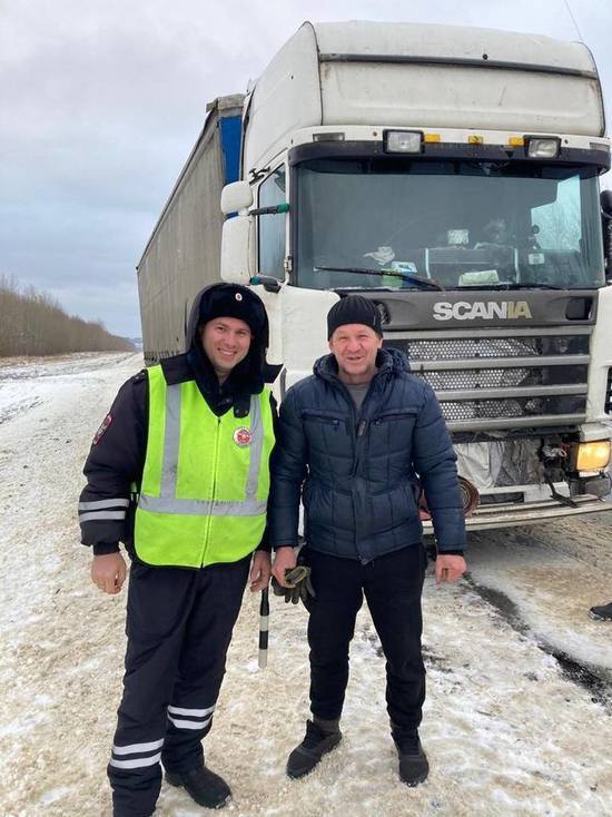 В Воронежской области автоинспекторы освободили из ледяного плена большегруз