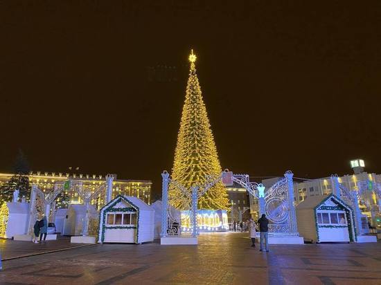 В Белгороде протестировали иллюминацию главной новогодней елки