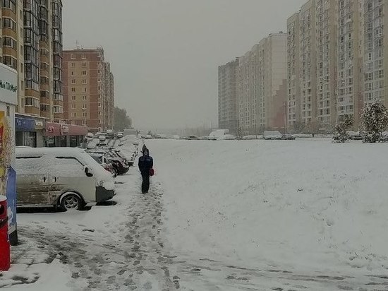 Шестеро детей из многодетной семьи в Новосибирске гуляли в мороз в летней одежде