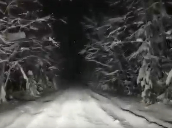 Школьный автобус отменили из-за нечищеной дороги в Лахденпохском районе Карелии