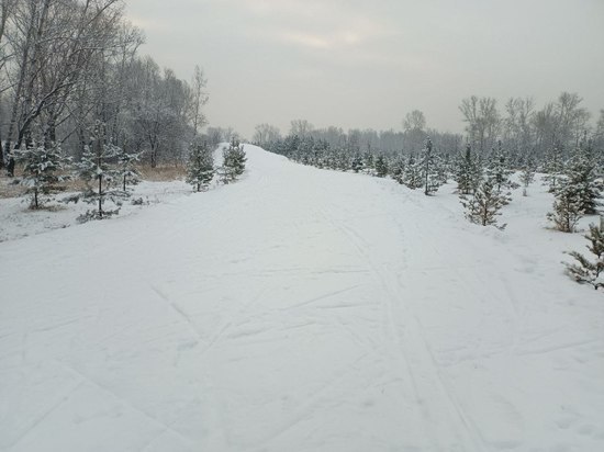 В Абакане на открытие лыжни пригласили горожан и Министра спорта РФ