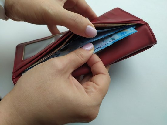 Задолженность по заработной плате снизилась в Вологодской области на 26 %