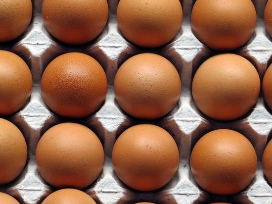 Заполярье вошло в десятку регионов с самой высокой стоимостью продуктов питания