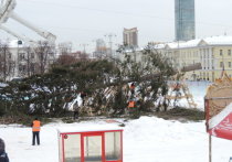 Главную елку Екатеринбурга на площади 1905 года после окончания праздников распилят