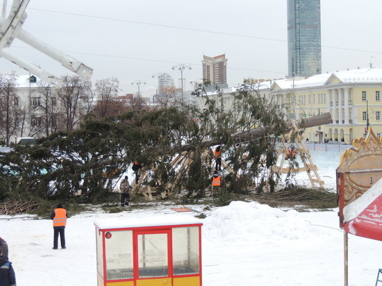 Главную елку Екатеринбурга раздадут школам на сувениры