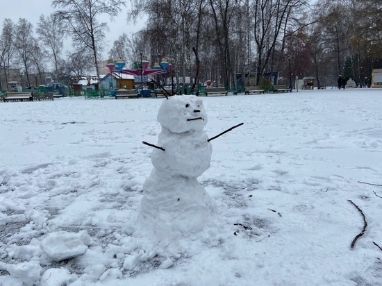 В Новосибирске на следующей неделе потеплеет до -4 градусов