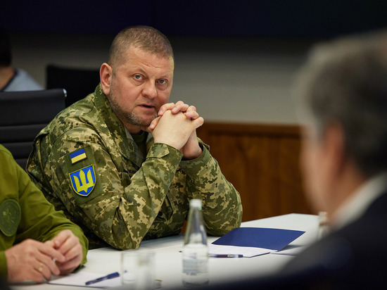 «К главкому ВСУ надо относиться, как террористу»